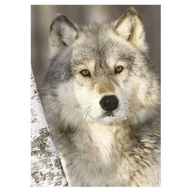 Puzzle Lobo - Banbury Arte